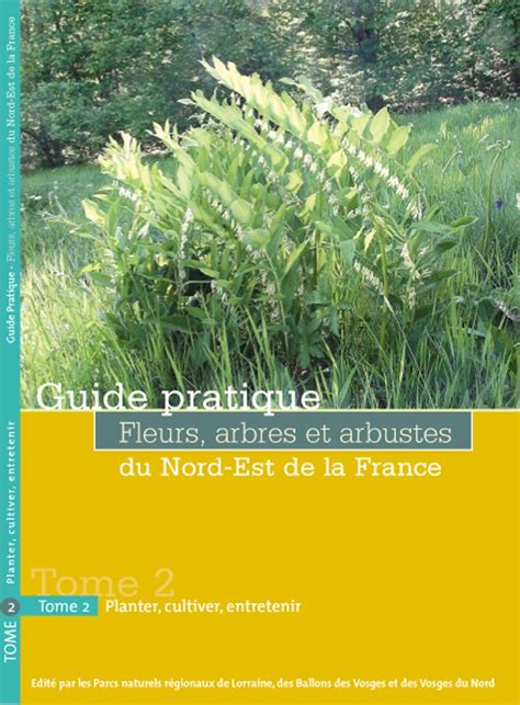 Le Parc Naturel R Gional De Lorraine Mieux Conna Tre Les Plantes De Nos