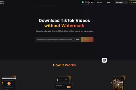 tiktok video downloader  username  tool