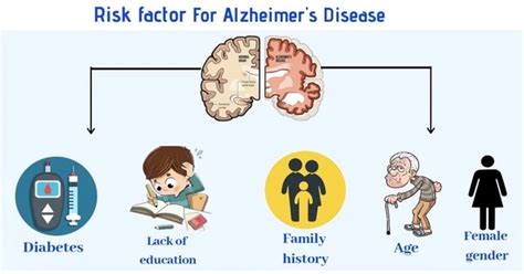 Education Protects Against A Hereditary Risk Factor For Alzheimers