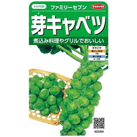 サカタのタネ 実咲野菜2300 芽キャベツ ファミリーセブン 00922300 20230903031015 01758セレーネ 通販