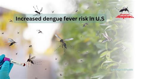 Cdc Issues Advisory On Rising Dengue Virus Infections In The United