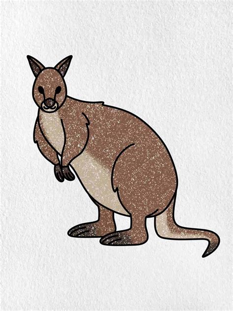 How To Draw A Wallaby Helloartsy