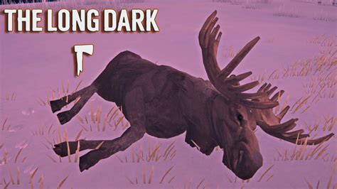 Moose Hunting Forlorn Muskeg The Long Dark Stalker S3 Ep66 YouTube