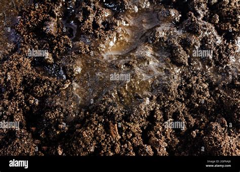 Mud Puddle Texture Hi Res Stock Photography And Images Alamy