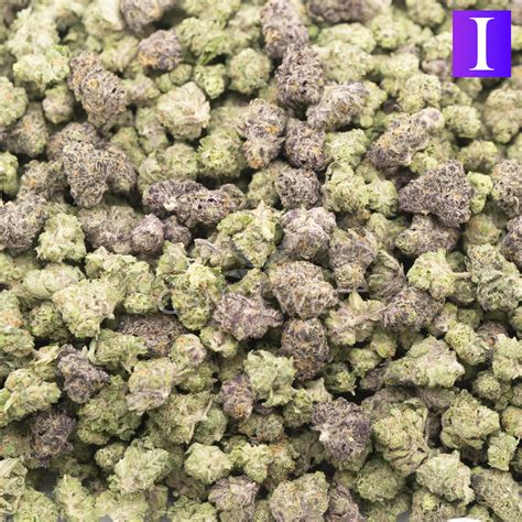 Blueberry Gushers Craft Popcorn Indica Ganja West Online Dispensary