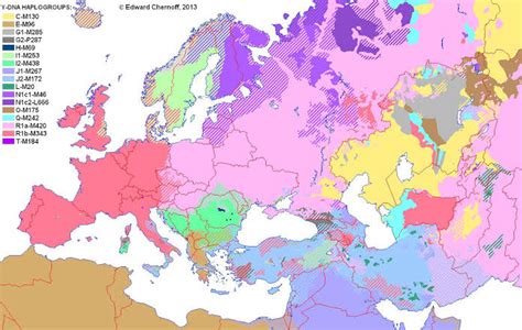 Y-DNA haplogroup distribution map. : r/MapPorn