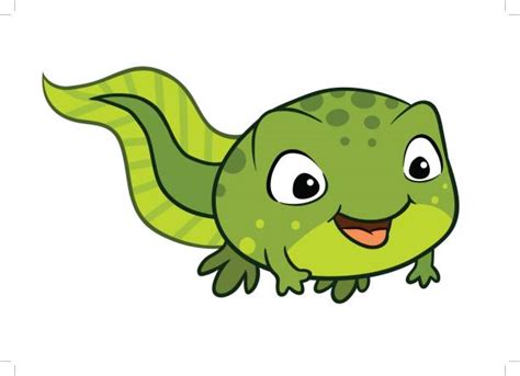 Royalty Free Tadpole Clip Art, Vector Images & Illustrations - iStock