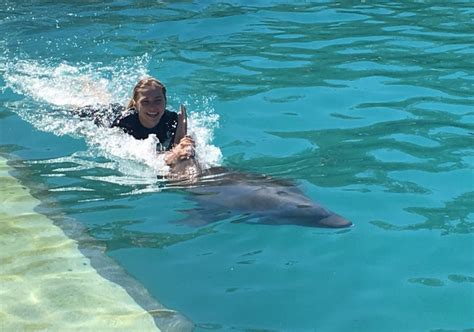 Miami Swim With Dolphins Odyssey Program 800 667 5524