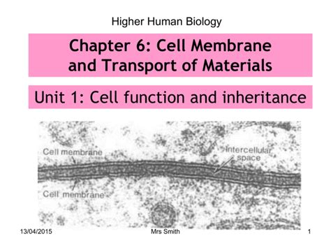 Chapter 6 Cell Membrane And Transport Of Materials