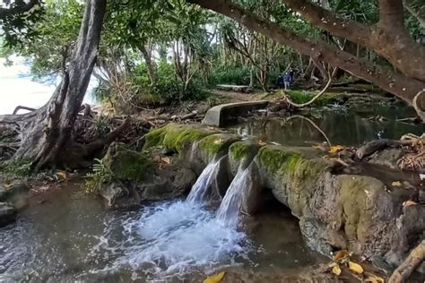 Sendang Di Banyuwangi Yang Paling Angker Mulai Dari Sendang Pancuran