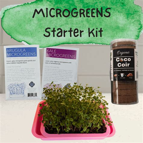 Microgreens Hudson Valley Seed Company