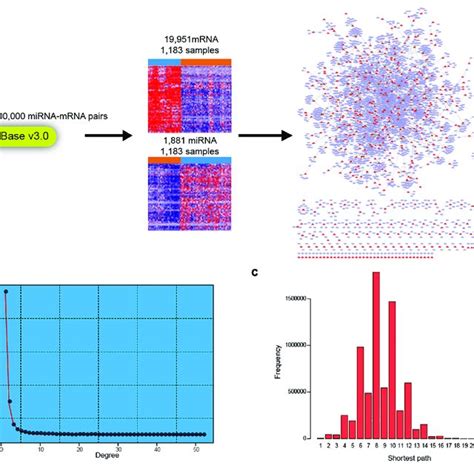 Construction Of Dysregulated Mirna Mrna Network In Breast Cancer A