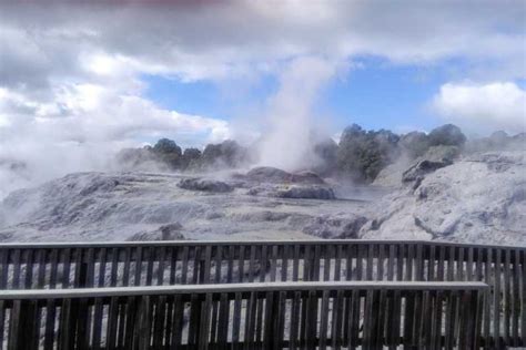 Fra Auckland Hobbiton og Rotorua med frokost på Te Puia GetYourGuide