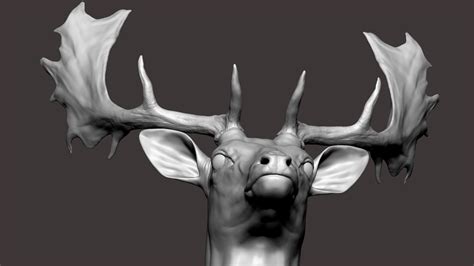 3d Model Fallow Deer Dama Dama Zbrush Sculpture Digital Turbosquid