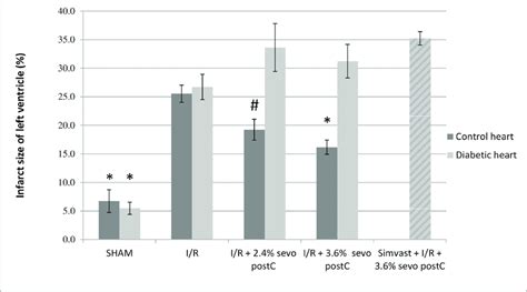 Myocardial Infarct Size Analyses After The Different Perfusion