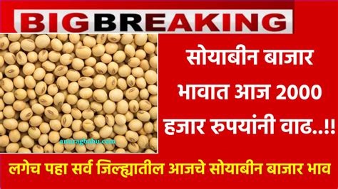 Soybean Rate 24 January सोयाबीन बाजार भावात आज 2000 हजार रुपयांनी वाढ लगेच पहा सर्व