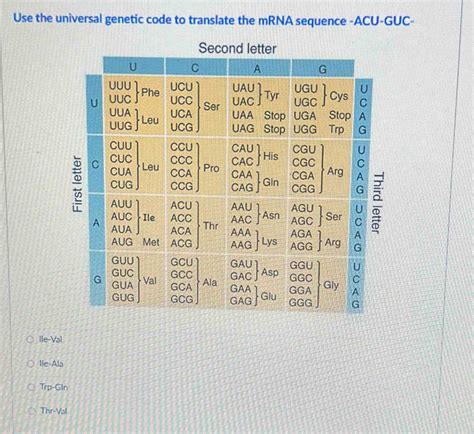 Solved Use The Universal Genetic Code To Translate The MRNA Sequence