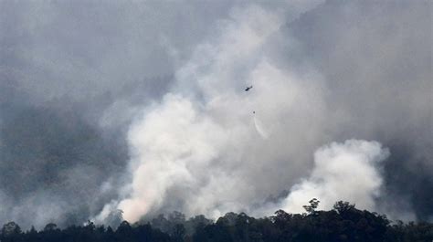 Bpbd Jatim Hingga Oktober Karhutla Di Jawa Timur Capai