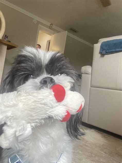 It’s that time... - Easy Rollers - Sliding Glass Door Repair