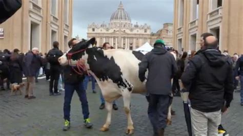 Il Vaticano Ha Allontanato Gli Agricoltori Che Volevano Entrare Con Una