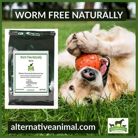 Natural Dog Wormer Worm Free Naturally