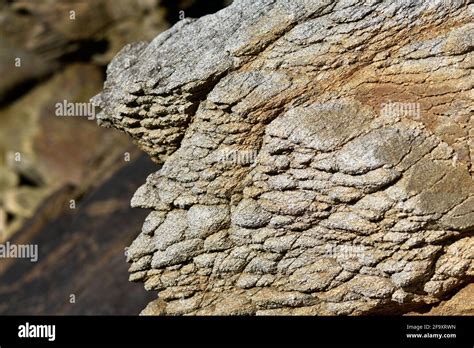 Gesteins Vulkanische Geologie Geologisch Geologisch Fotos Und