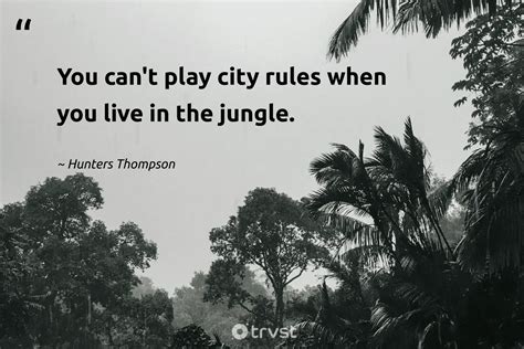 42 Jungle Quotes Inspiring Conservation And Adventure (2024)