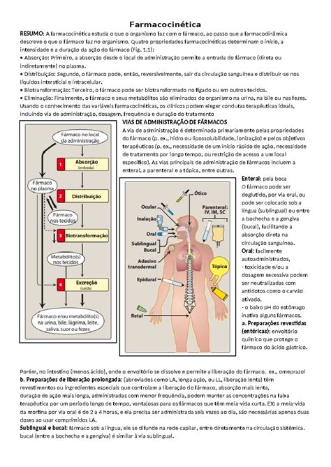 Farmacocin Tica Farmacocin Tica Resumo A Farmacocin Tica Estuda O