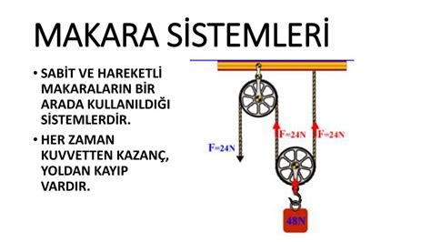 Makaralar Serbest Bir Eksen Etraf Nda Serbest E D Nebilen Evresinden