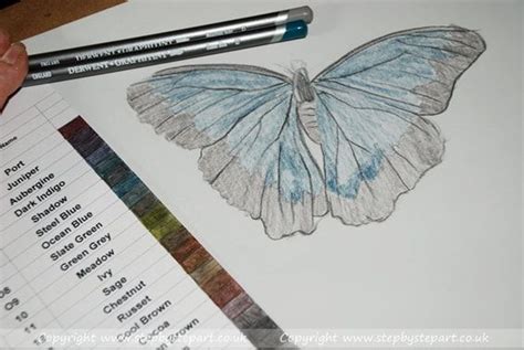 Derwent Graphitint Pencils An Artists Personal Review Step By Step