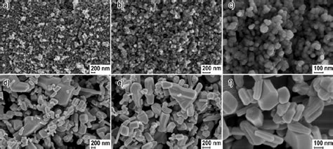 Scanning Electron Microscopy SEM Images Of Zinc Oxide Nanoparticles