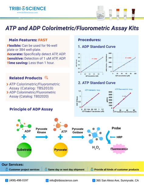 Atp And Adp Colorimetric Fluorometric Assay Kit Tribioscience