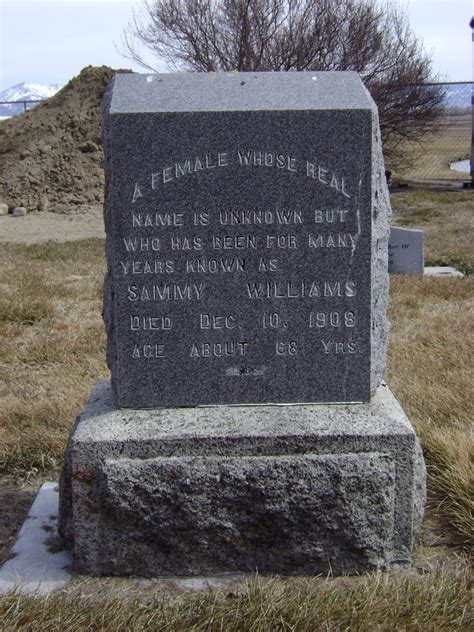 Sammy Williams Obit Samuel Williams Obituary January 30, 2024 Garden