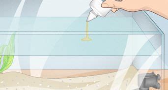 Ways To Start A Siphon Fish Tank Wikihow