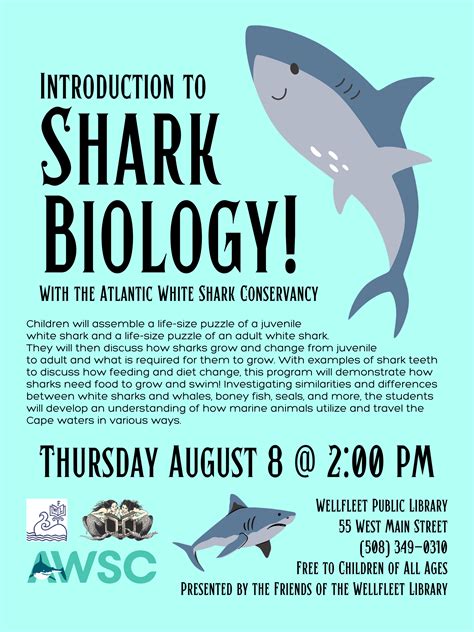 Introduction To Shark Biology With The Atlantic White Shark