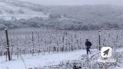 Forte Onda De Frio Vai Congelar O Sul E Sudeste Com Risco De Neve Na