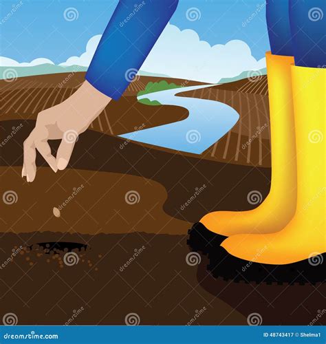 Planting A Seed In A Vegetable Garden Stock Vector Illustration Of