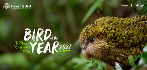 Bird of the Year voting open – Civic Trust Auckland