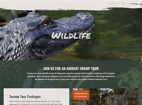 Airboat Adventures | Website Design & Marketing | Gatorworks