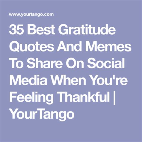 50 Gratitude Memes To Share When Youre Feeling Thankful Feeling