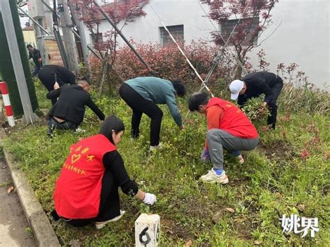 梁弄镇组织开展“机关干部齐上阵 清洁家园我先行”志愿服务活动