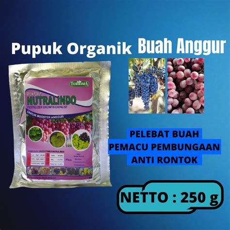 Jual Pupuk Boster Buah Anggur Pemicu Buah Tumbuh Besar Booster Organik