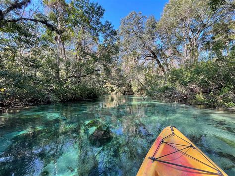 Visitors discover witchee wachee springs is deeper than other springs 15