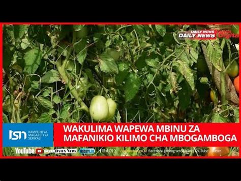 Wakulima Wapewa Mbinu Za Mafanikio Kilimo Cha Mbogamboga Youtube