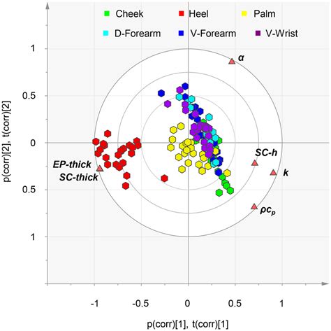 Principal Component Analysis Global Multivariate Correlation Download Scientific Diagram