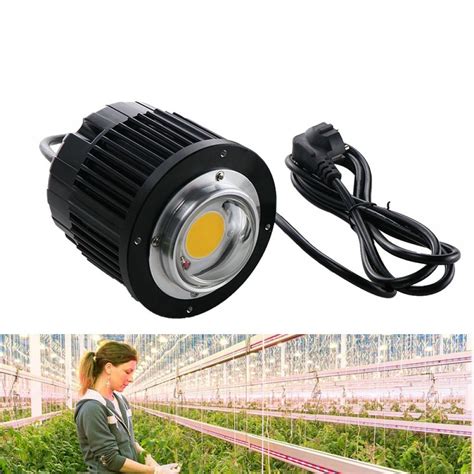 Building Cob Led Grow Light Growstar 300w Cree Cob Grow Light Uponics Hydroponics For