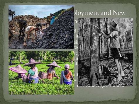 Forest Society And Colonialismpptx