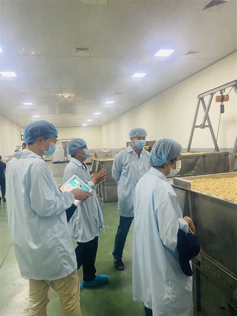 Exploring Visimex S Organic Cashew Nut Plant In Binh Duong