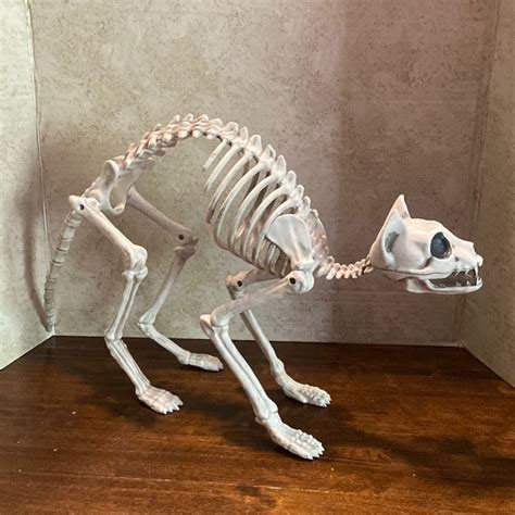 Source Unknown | Holiday | Halloween Cat Skeleton Nearly Life Sized ...