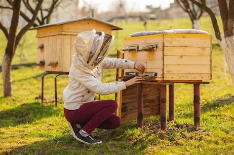 Une Jeune Fille D Apiculteur Travaille Avec Les Abeilles Et Inspecte